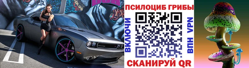Галлюциногенные грибы Cubensis  Ухта 